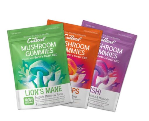 buy lions maine mushroom gummies usa